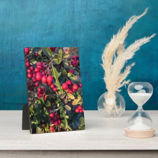 Früchte des Herbst Fotoplatte (Seite)