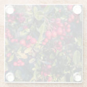 Früchte des Herbst Glasuntersetzer (Rückseite)