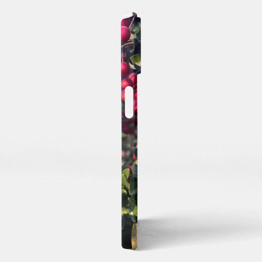 Früchte des Herbst iPhone Hülle (Rechte Seite)