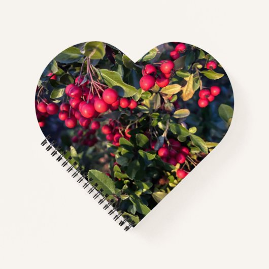 Früchte des Herbst Notizblock (Vorderseite)