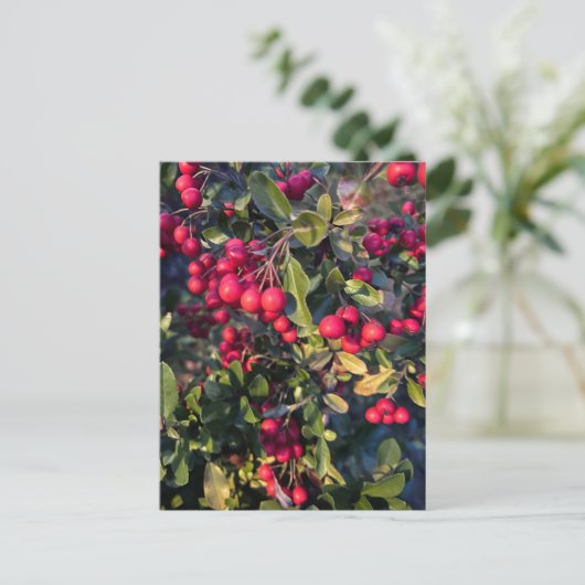 Früchte des Herbst Postkarte (Stehend Vorderseite)