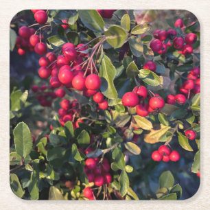 Früchte des Herbst Rechteckiger Pappuntersetzer