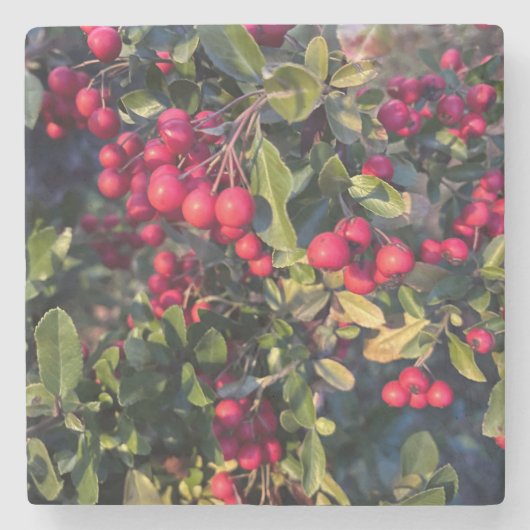 Früchte des Herbst Steinuntersetzer (Vorderseite)