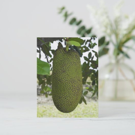 Früchte, die an Baum hängen Postkarte (Stehend Vorderseite)