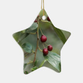 Früchte eines glänzenden Blattwegdorns Keramik Ornament (Rechts)