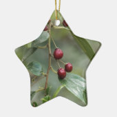 Früchte eines glänzenden Blattwegdorns Keramik Ornament (Links)