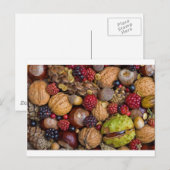 Früchte im Herbst Postkarte (Vorne/Hinten)