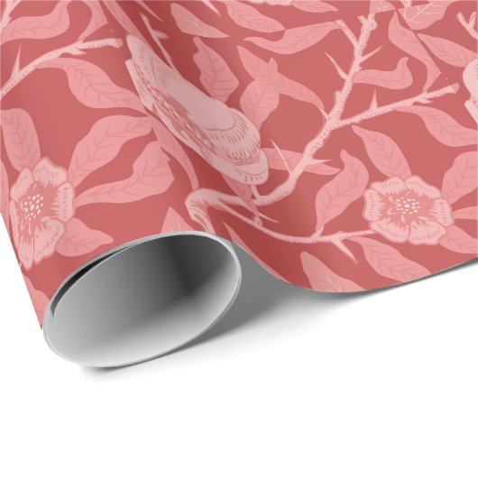 Früchte oder Granatapfel in Rot und Weichrosa Geschenkpapier (Rolleneckpunkt)