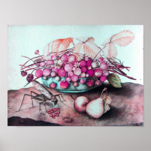 FRÜCHTE/STRAWBERRIEN UND ERBEN DER SAISON POSTER (Vorne)