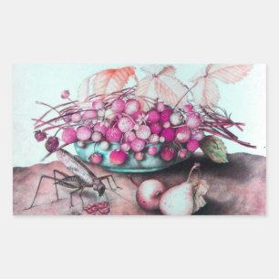 FRÜCHTE/STRAWBERRIEN UND ERBEN DER SAISON RECHTECKIGER AUFKLEBER