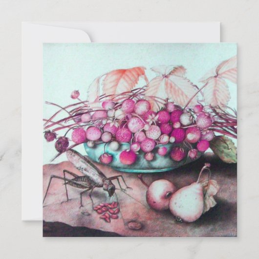 FRÜCHTE/STRAWBERRIES DER SAISON FRUITS DER SAISON  ANKÜNDIGUNG (Vorderseite)