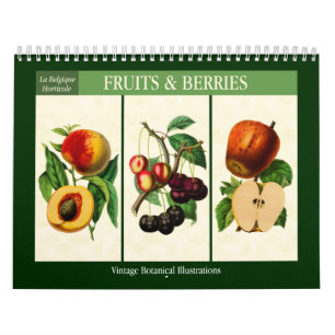 Früchte und Beeren Vintage-Botanik 2027 Kalender
