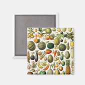 Früchte und Gemüse Magnet (Vorderseite/Rückseite)