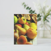 Früchte und Pflanzen, Apples and pears Postkarte (Stehend Vorderseite)