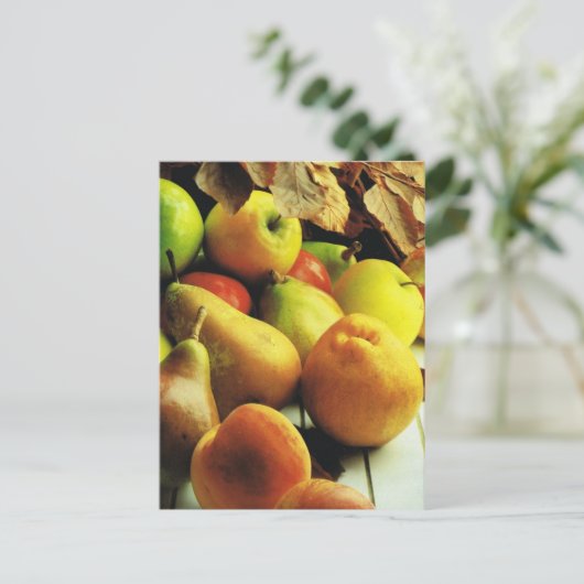 Früchte und Pflanzen, Apples and pears Postkarte (Stehend Vorderseite)