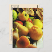 Früchte und Pflanzen, Apples and pears Postkarte (Vorne/Hinten)