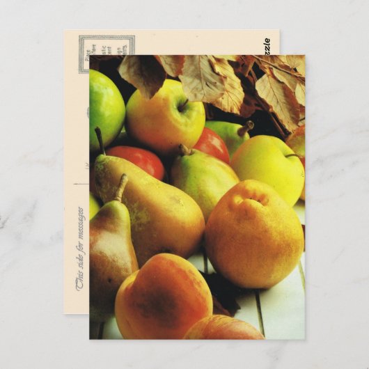 Früchte und Pflanzen, Apples and pears Postkarte (Vorne/Hinten)