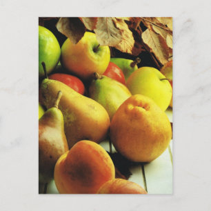 Früchte und Pflanzen, Apples and pears Postkarte