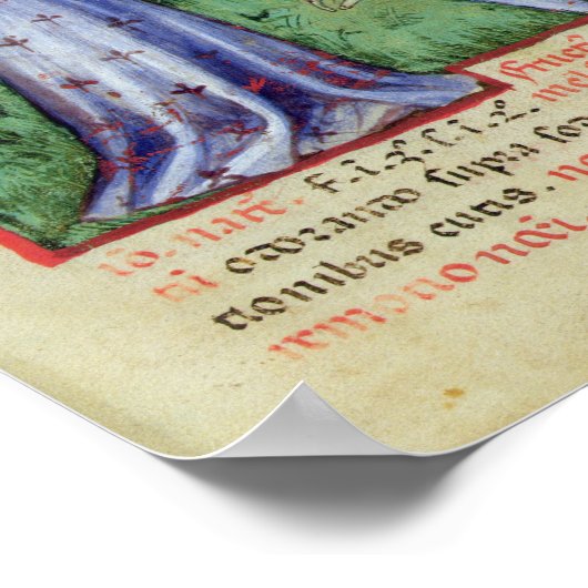 Früchte von Mandrake, von 'Tacuinum Sanitatis' Poster (Ecke)