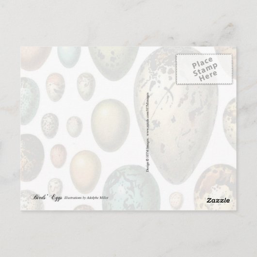 Fruchteier Postkarte (Rückseite)