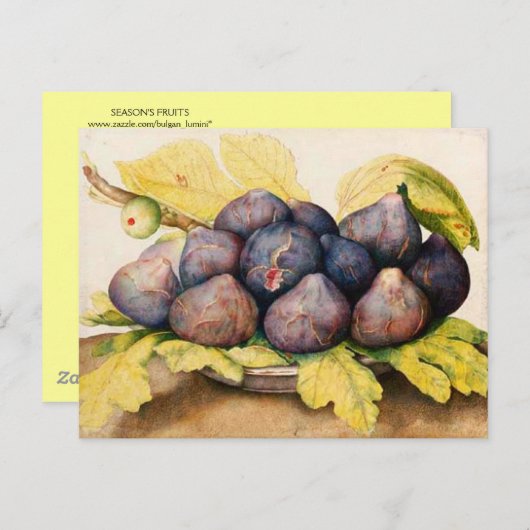 FRUCHTEN DER SAISON / PLATZ MIT FEIERN UND GRÜNEN  POSTKARTE (Vorne/Hinten)