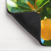 Fruchtender Orangenbaum Mousepad (Ecke)