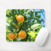 Fruchtender Orangenbaum Mousepad (Mit Mouse)