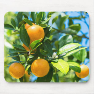 Fruchtender Orangenbaum Mousepad