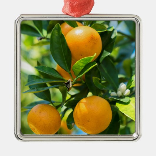 Fruchtender Orangenbaum Ornament Aus Metall (Vorne)