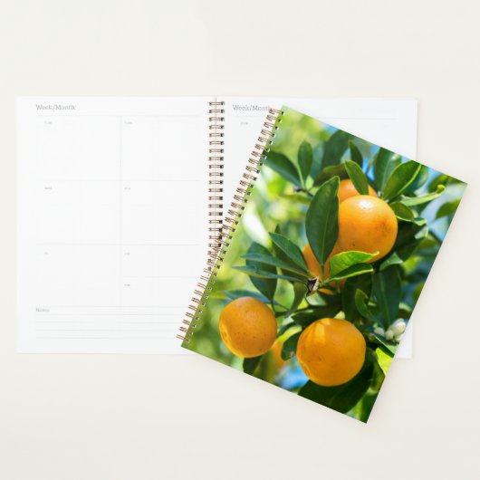 Fruchtender Orangenbaum Planer (Anzeige)