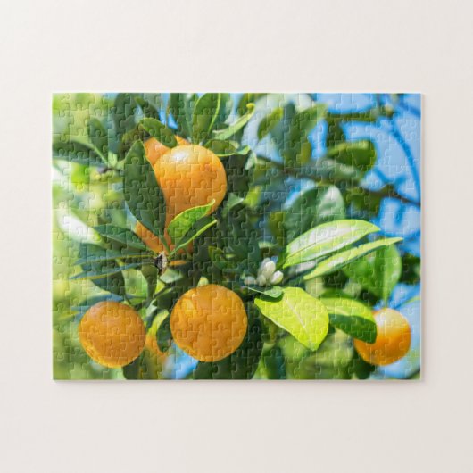 Fruchtender Orangenbaum Puzzle (Horizontal)