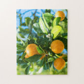 Fruchtender Orangenbaum Puzzle (Vertikal)