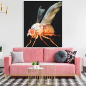 Fruchtfliege Leinwanddruck (Insitu (Wohnzimmer))