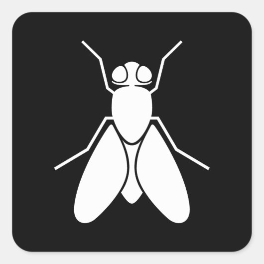 Fruchtfliege Quadratischer Aufkleber (Vorderseite)