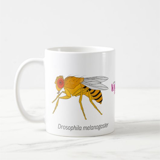 Fruchtfliege-Tasse Kaffeetasse (Links)