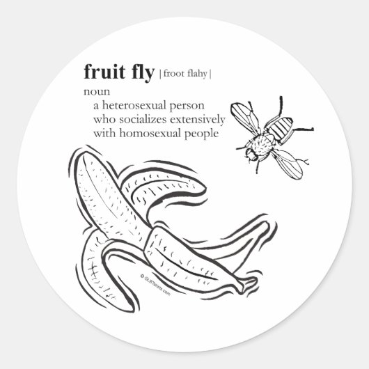 FRUCHTFLIEGEN RUNDER AUFKLEBER (Vorderseite)