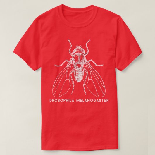 Fruchtfly Drosophila Melanogaster für Gene Researc T-Shirt (Design vorne)