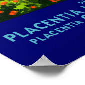 Fruchtkastenlabel Kleeblatt Navel Orange aus den 3 Poster (Ecke)