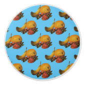 Fruchtknobs Keramikknauf (Vorderseite)