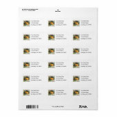 Fruchtlabel Pansy Brand Orange Adressaufkleber (Vorne)