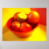 Fruchtleben Poster (Vorne)