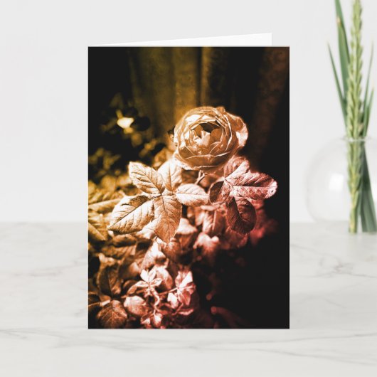 Fruchtparfuma-Rose - Danke-Karte Dankeskarte (Vorderseite)