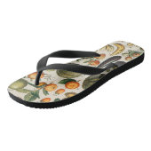 Fruchtpflanzliche wissenschaftliche Illustration Badesandalen (Schrägansicht)