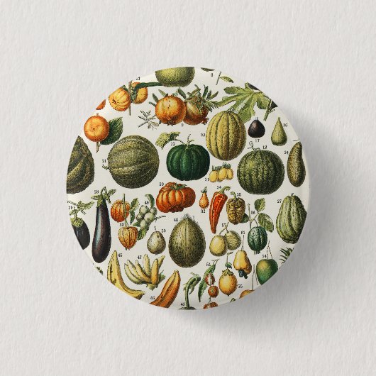 Fruchtpflanzliche wissenschaftliche Illustration Button (Vorderseite)