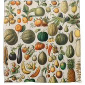 Fruchtpflanzliche wissenschaftliche Illustration Duschvorhang (Vorderseite)