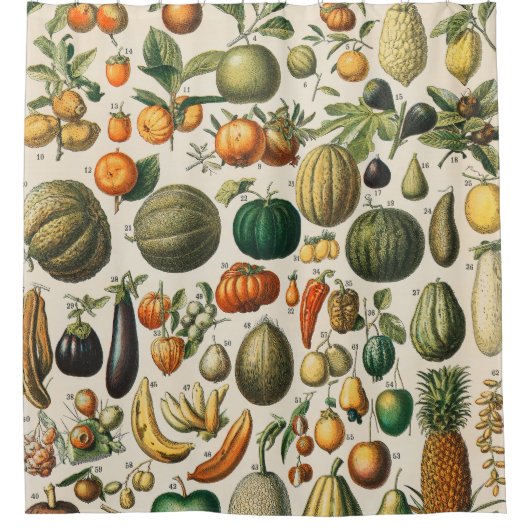 Fruchtpflanzliche wissenschaftliche Illustration Duschvorhang (Vorderseite)