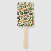 Fruchtpflanzliche wissenschaftliche Illustration Fächer (Rückseite)