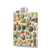 Fruchtpflanzliche wissenschaftliche Illustration Flachmann (Links)