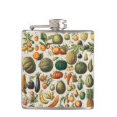 Fruchtpflanzliche wissenschaftliche Illustration Flachmann (Vorderseite)