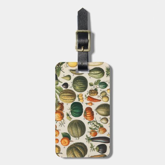 Fruchtpflanzliche wissenschaftliche Illustration Gepäckanhänger (Vorderseite vertikal)